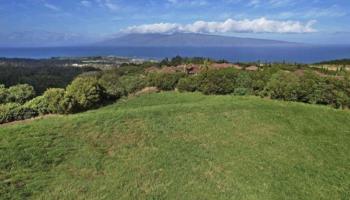 205 Keoawa St Lot 7 Lahaina, Hi vacant land for sale - photo 2 of 15
