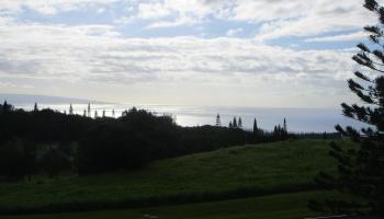 205 Keoawa St Lot 7 Lahaina, Hi vacant land for sale - photo 6 of 15