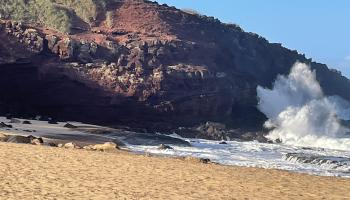 206  Awawa Rd , Molokai home - photo 5 of 29