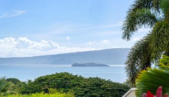 206  Heleuma Pl Wailea, Wailea/Makena home - photo 5 of 50