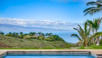 206  Wailau Pl Launiupoko, Lahaina home - photo 3 of 34