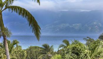 207  Kahana Ridge Dr Kahana Ridge, Napili/Kahana/Honokowai home - photo 3 of 50