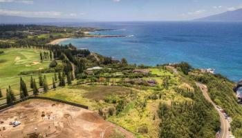207 Plantation Club Dr 28 Lahaina, Hi vacant land for sale - photo 4 of 9