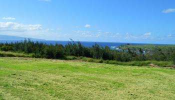 209 Plantation Club Dr  Lahaina, Hi vacant land for sale - photo 4 of 9