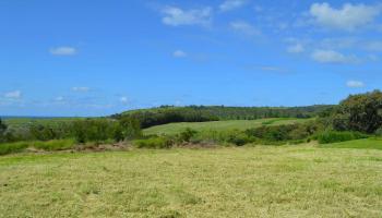 209 Plantation Club Dr  Lahaina, Hi vacant land for sale - photo 6 of 9