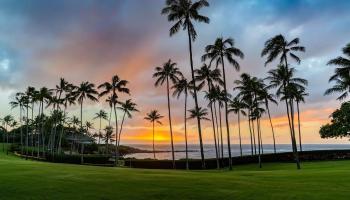 Coconut Grove condo # 21, Lahaina, Hawaii - photo 2 of 30