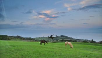 21  Hulumanu Pl Kahakuloa, Wailuku home - photo 3 of 50