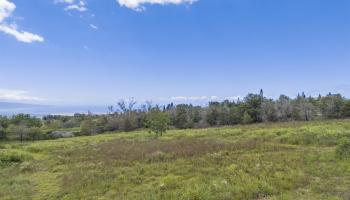 21 Noholoa Pl #2 and #3 Kula, Hi vacant land for sale - photo 2 of 16