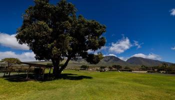 Puamana condo # 21-2, Lahaina, Hawaii - photo 5 of 24