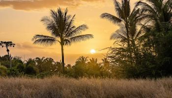 21 Ualei Pl 1 Kihei, Hi vacant land for sale - photo 2 of 29