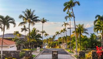 210  Panana Pl Wailea, Wailea/Makena home - photo 3 of 41