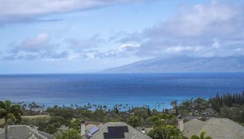212  Crestview Rd Kapalua Resort, Kapalua home - photo 5 of 50