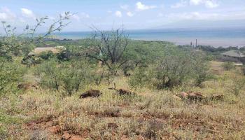 212 Ulua Rd Lot 179 Kaunakakai, Hi vacant land for sale - photo 5 of 8