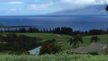 214 Plantation Club Dr  Lahaina, Hi vacant land for sale - photo 2 of 3
