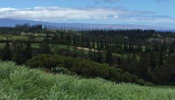 214 Plantation Club Dr  Lahaina, Hi vacant land for sale - photo 3 of 3