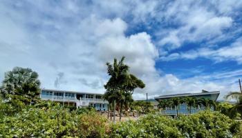 215  Aahi Pl , Molokai home - photo 3 of 47