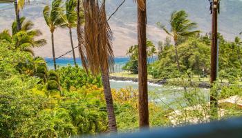 Hawealani Condominium condo # 202, Kihei, Hawaii - photo 6 of 30