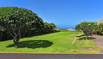 216 Crestview Rd 9 Lahaina, Hi vacant land for sale - photo 6 of 20
