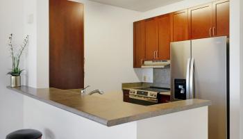 Hoolea Terrace at Kehalani condo # 205, Wailuku, Hawaii - photo 6 of 39