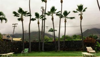 Iao Gardens condo # 103, Wailuku, Hawaii - photo 4 of 14