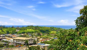 Iao Gardens condo # 204, Wailuku, Hawaii - photo 1 of 41
