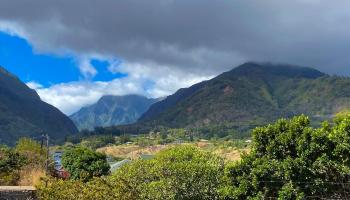 Iao Gardens condo # 309, Wailuku, Hawaii - photo 4 of 16