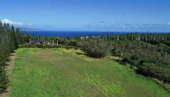 219 Plantation Club Dr 12 Lahaina, Hi vacant land for sale - photo 2 of 10