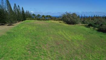 219 Plantation Club Dr 12 Lahaina, Hi vacant land for sale - photo 3 of 10