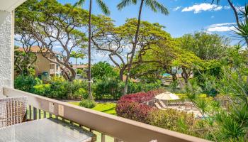 Maui Vista condo # 1206, Kihei, Hawaii - photo 6 of 42