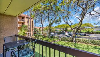 Maui Vista condo # 2216, Kihei, Hawaii - photo 5 of 25
