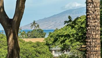 Maui Vista condo # 2314, Kihei, Hawaii - photo 2 of 36