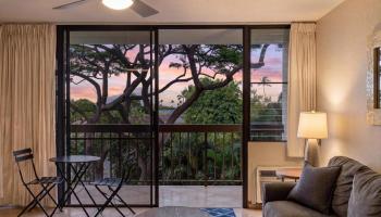 Maui Vista condo # 2321, Kihei, Hawaii - photo 5 of 30
