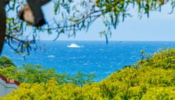 Maui Vista condo # 2420, Kihei, Hawaii - photo 1 of 36