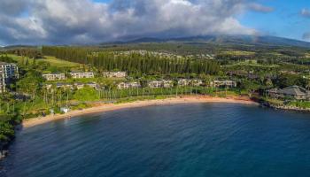 Coconut Grove condo # F-22, Lahaina, Hawaii - photo 3 of 30