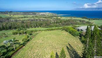 220 Plantation Club Dr 17 Lahaina, Hi vacant land for sale - photo 4 of 7