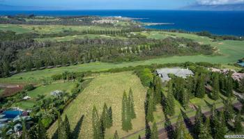 220 Plantation Club Dr 17 Lahaina, Hi vacant land for sale - photo 5 of 7