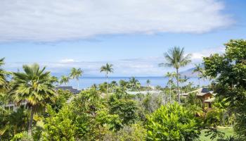 221  Ikea Kai Pl , Wailea/Makena home - photo 6 of 49