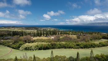 221 Plantation Club Dr  Lahaina, Hi vacant land for sale - photo 1 of 35