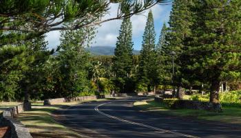 221 Plantation Club Dr  Lahaina, Hi vacant land for sale - photo 2 of 35