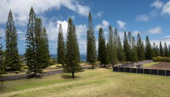 221 Plantation Club Dr  Lahaina, Hi vacant land for sale - photo 4 of 35