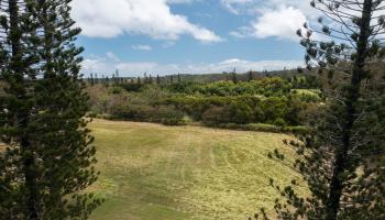 221 Plantation Club Dr  Lahaina, Hi vacant land for sale - photo 5 of 35