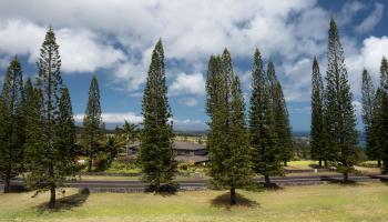 221 Plantation Club Dr  Lahaina, Hi vacant land for sale - photo 6 of 35