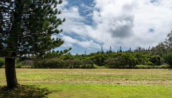 221 Plantation Club Dr Kapalua  - photo 5 of 28