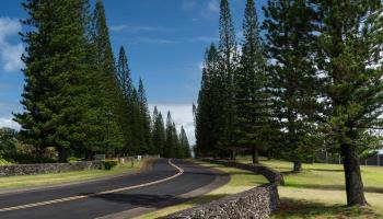 221 Plantation Club Dr Kapalua  - photo 6 of 28
