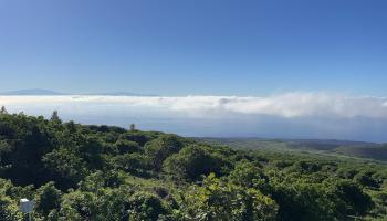 2225 Upper Kanaio Rd  Kula, Hi vacant land for sale - photo 3 of 3