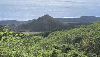 2227 Upper Kanaio Rd 20 Kula, Hi vacant land for sale - photo 3 of 20