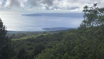 2227 Upper Kanaio Rd 20 Kula, Hi vacant land for sale - photo 4 of 20