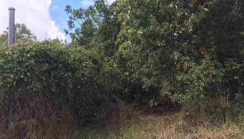 2227 Upper Kanaio Rd 20 Kula, Hi vacant land for sale - photo 6 of 20