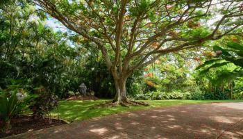 223  Plantation Club Dr Kapalua, Kapalua home - photo 5 of 50