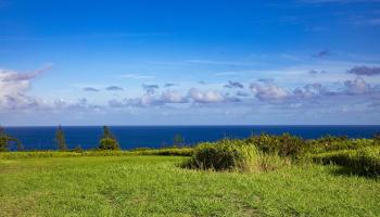 2233 Hana Hwy Hwy  Haiku, Hi vacant land for sale - photo 2 of 15